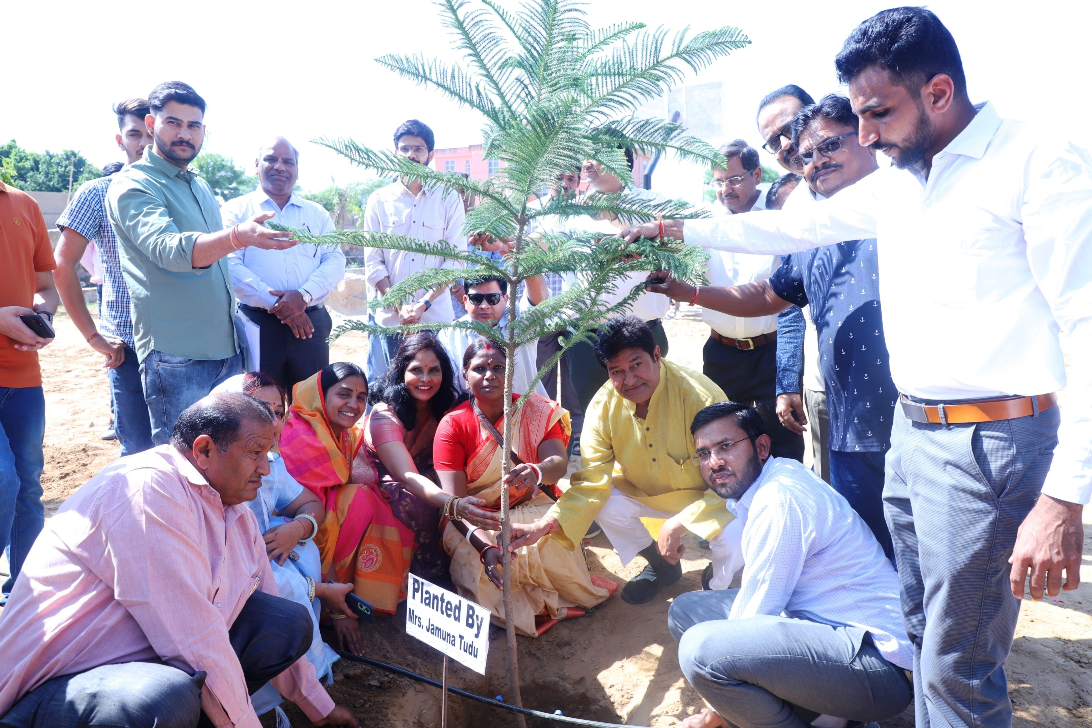 Tree Plantation 2022