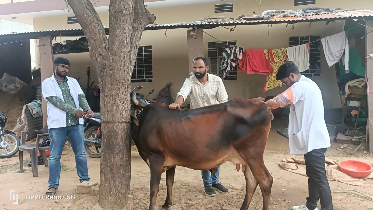 Free animal treatment camp at anantpura- jaitpura, chomu on dated12.08.2023