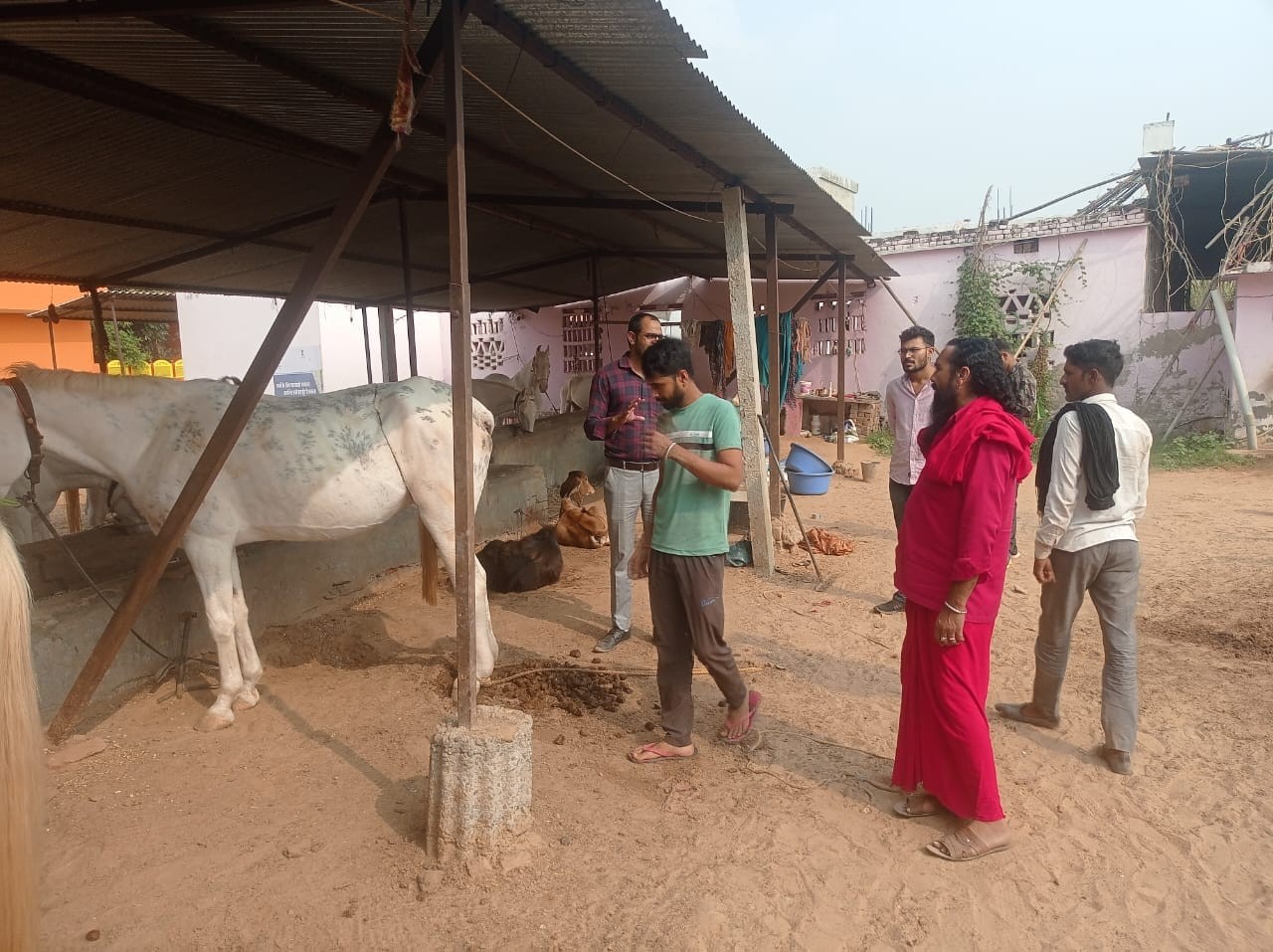 Glimpses of Veterrinary Camp Organised at Village JALIM SINGH KA  BAS on Dated 04.11.2023